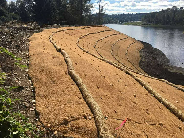 21e7b2cce0497d00f6150c8906af20e.png 21e7b2cce0497d00f6150c8906af20e.png